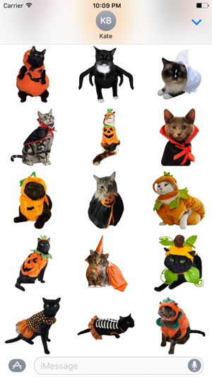 Halloween Cats(圖2)-速報App