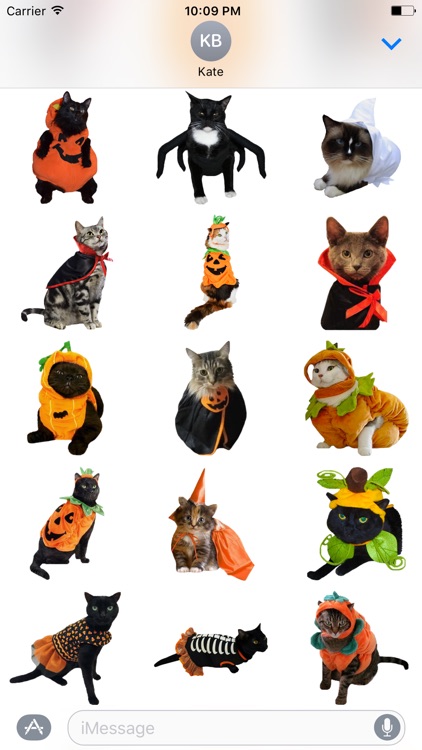 Halloween Cats