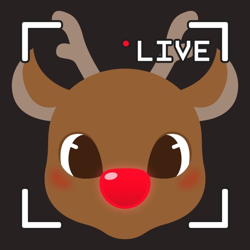 Reindeer Cam Live Christmas Pro - CCTV Rudolf Farm icon