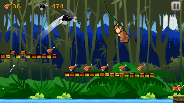 Superfly Rainforest Animals In Monkey King Jungle screenshot-3