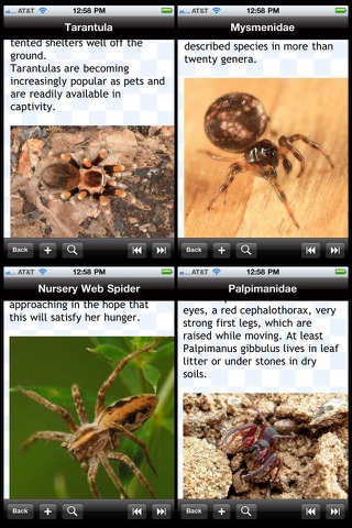 Spider Bible screenshot 2