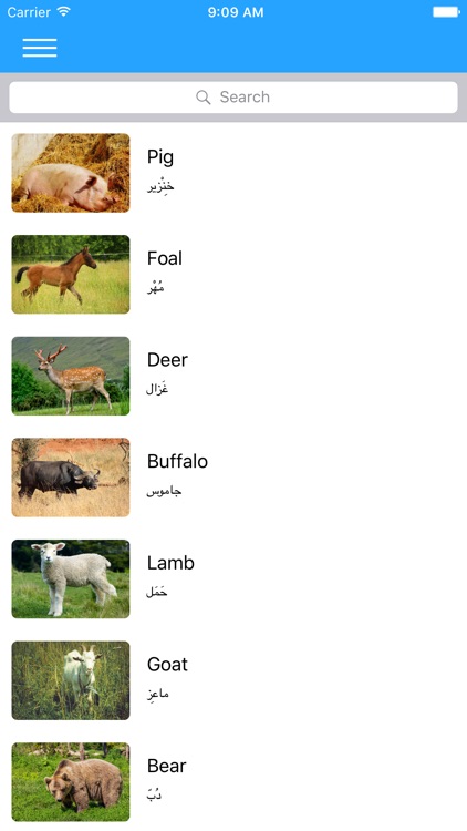 Visual Arabic screenshot-4