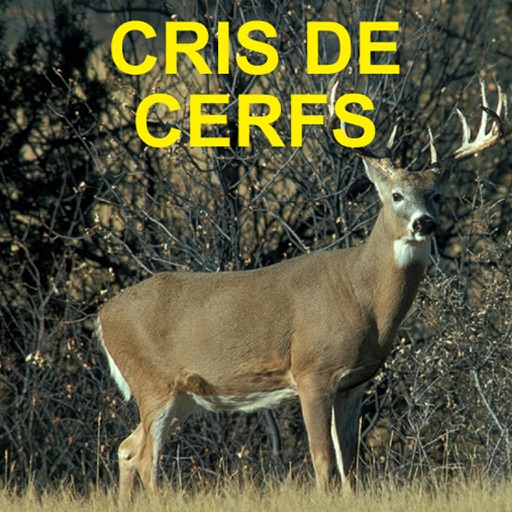 Cris Et Sons De' Cerfs Pour La Chasse icon