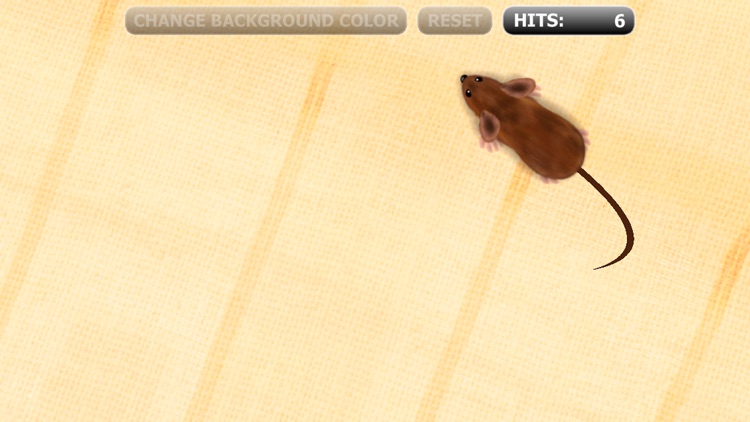 Catch the Mouse Cat Game for iPhone