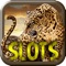 Leopard Slot Machines – Big Win Casino