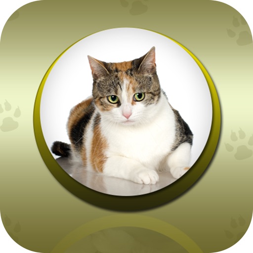 Cat Reference icon