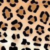 Leopard Wallpapers HD: Art Pictures