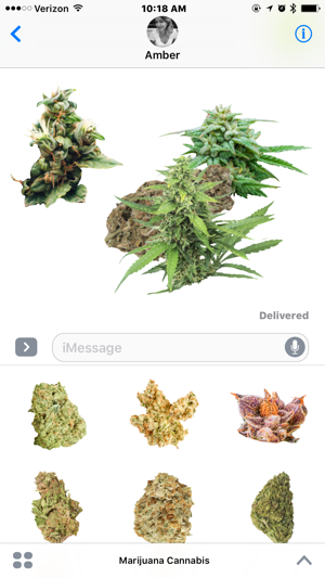 Marijuana Cannabis(圖5)-速報App