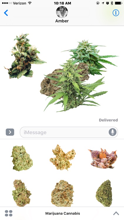 Marijuana Cannabis screenshot-4