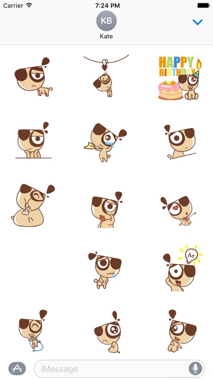 Daodao dog