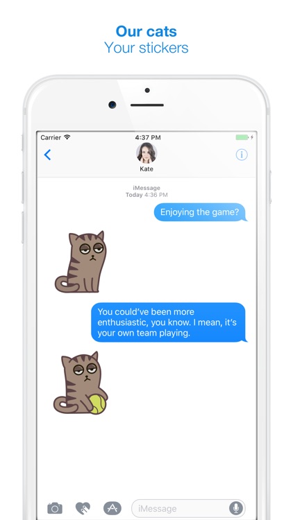 Fixel the Snob cat