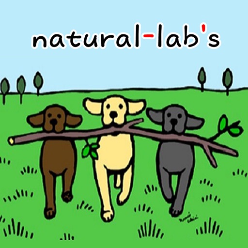 ラブラドールに似合う犬服や犬雑貨　natural-lab’s icon