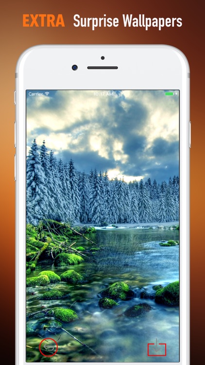 Moss Wallpapers HD- Quotes and Art Pictures