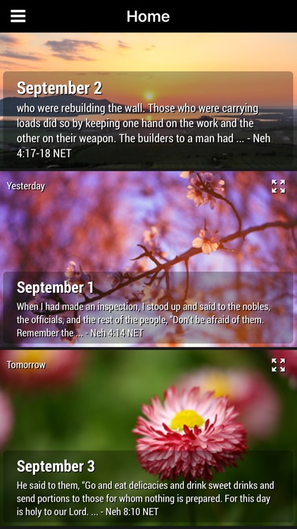 God's Comfort - Bible Devotional screenshot-3