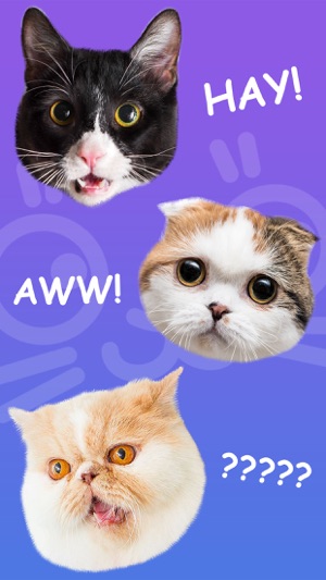 Cat Stamp! Cute Stickers of Cats(圖2)-速報App