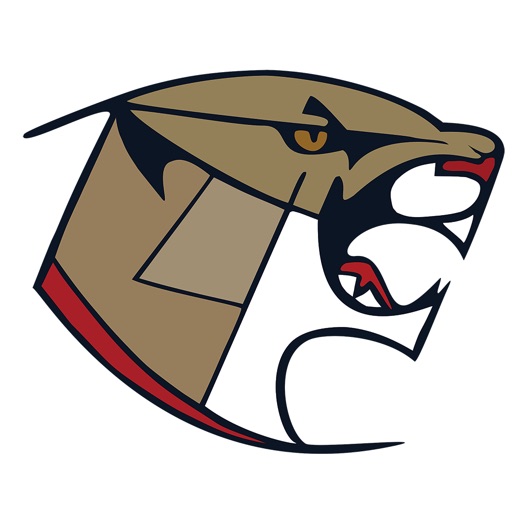 Central Wildcats icon