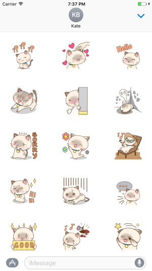 Funny Kitten Sticker(圖1)-速報App