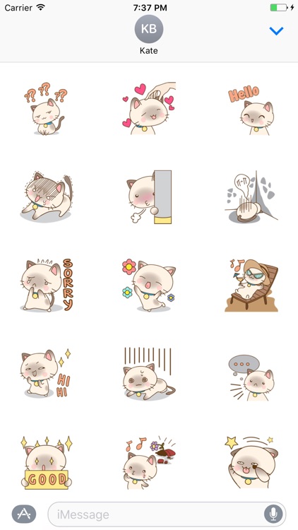 Funny Kitten Sticker