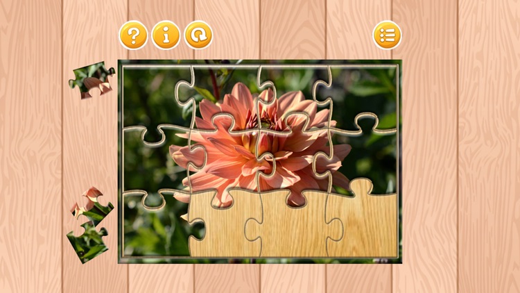 Flower Jigsaw Puzzle HD Games Free