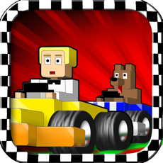 Activities of Block And Speed Racing FREE - A Super Fast Blocky Style Go Kart Game