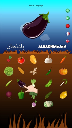 Multilingual Vegetable Names(圖4)-速報App