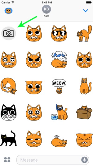 Cat Stickers for Messages & Photos(圖3)-速報App