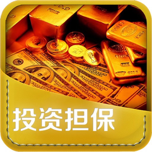 中国投资担保平台 icon