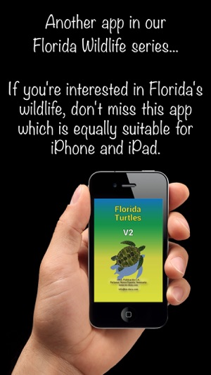 Florida Turtles – Guide to Common Species(圖1)-速報App