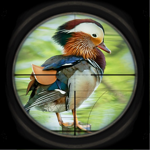 Angry Duck 3d Shooting Hunter icon