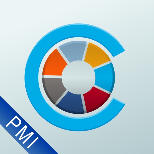 PMI Connect Icon