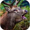 Ultimate Deer Hunter African Safari Hunting