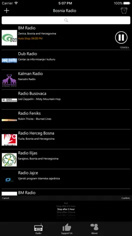 Game screenshot Bosnian Radio hack