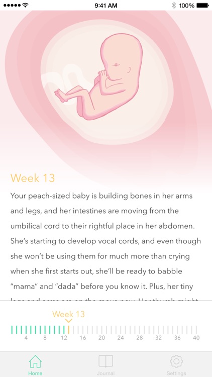Pregnancy Tracker !