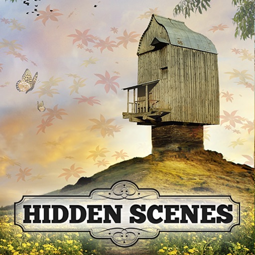 Hidden Scenes - Strange Places