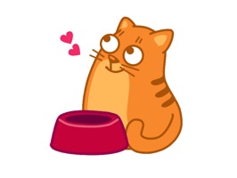 Animated cat stickers that will make your chats a lot more fun