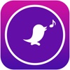 Purplebird-Funny Bird Cross Game