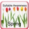 Over the past 40 years, research has indicated that the best predictor of literacy skills is phonological awareness – that is, the ability to segment spoken language into words/concepts, syllables and sounds