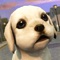 Dog Care Simulator: Save your Puppy!