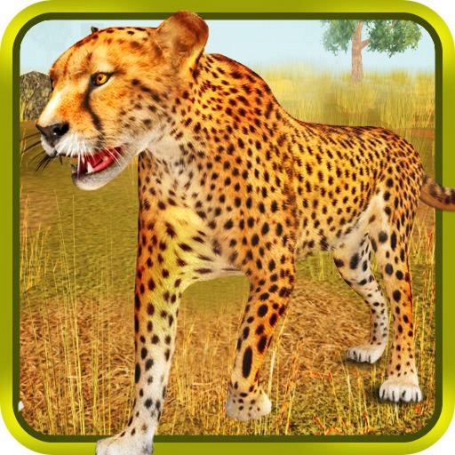 Cheetah Simulator 3d iOS App
