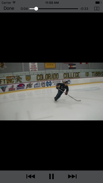 Hockey 1-4 screenshot-4