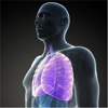 Cardiopulmonary Anatomy:Physiology and Respiratory Care