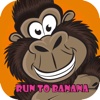 monkey speed to fast  eat banana in jungle