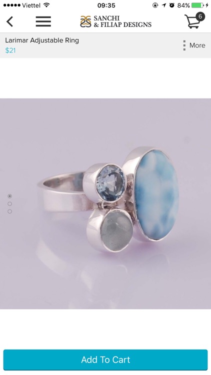 Sanchi And Filiap Designs screenshot-3