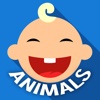 Animals for Babies & Toddlers Free Flashcards