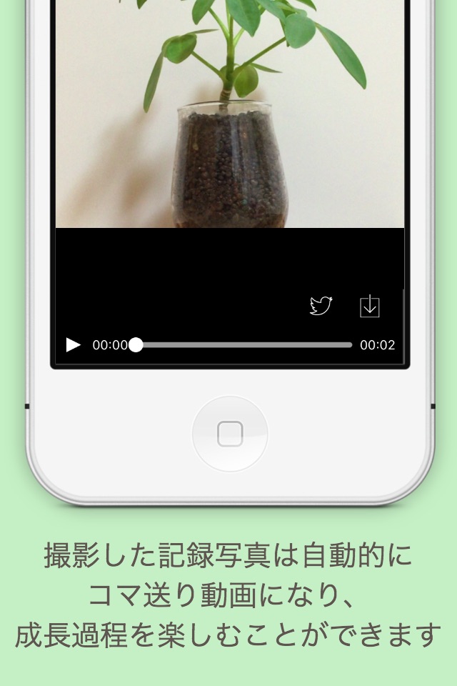 観察日記 screenshot 2