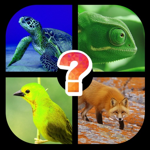 Guess Picture with One Word (Trivia Quiz) iOS App