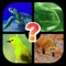 Guess Picture with One Word (Trivia Quiz)