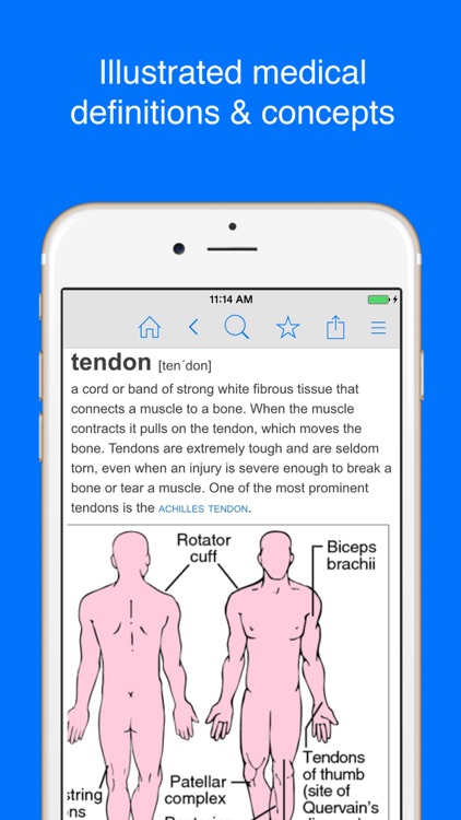 Medical Dictionary - Healthcare Terminology
