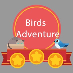 Birds Crazy Adventure