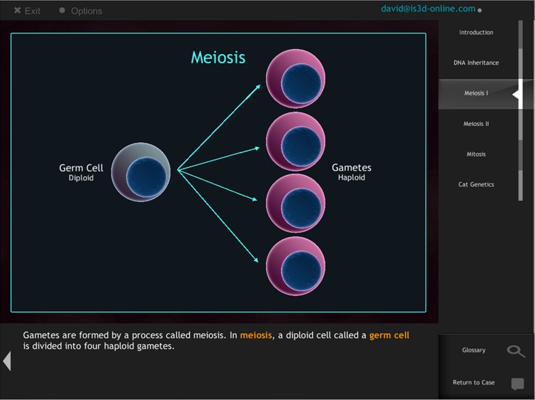 IC Meiosis